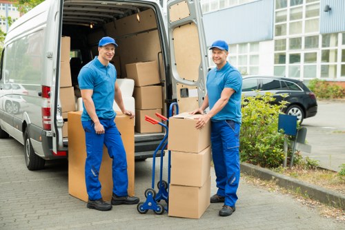 Formal review of a removals complaint with clear next steps
